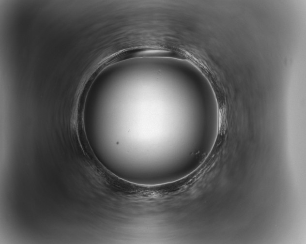 X0000088910195200706081347