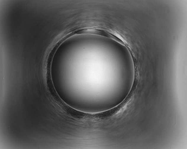 X0000088910199200706081347