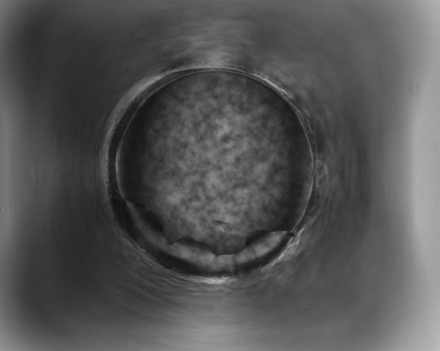 X0000088910200200706081347