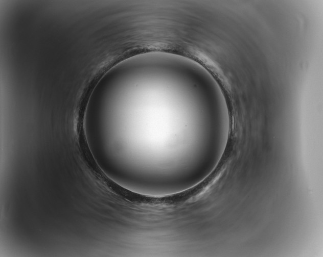 X0000088910201200706081347