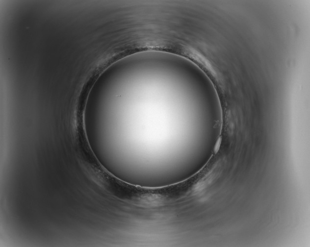 X0000088910203200706081347