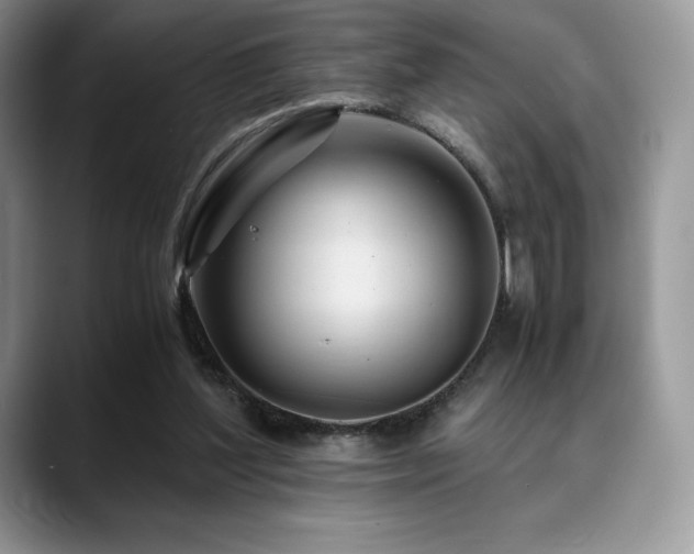 X0000088910204200706081347