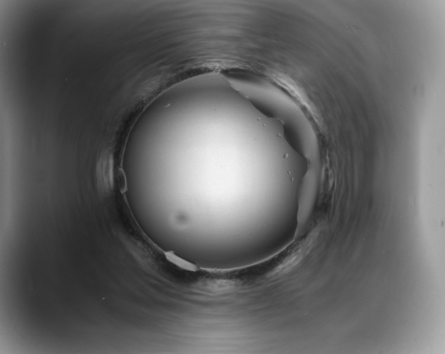 X0000088910205200706081347