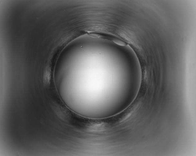 X0000088910206200706081347