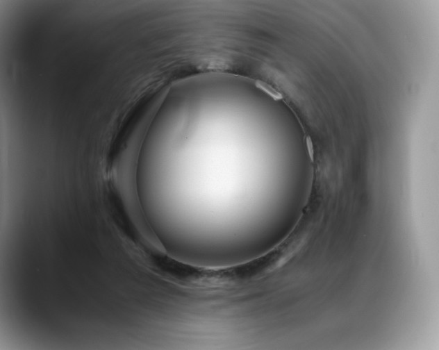 X0000088910209200706081347