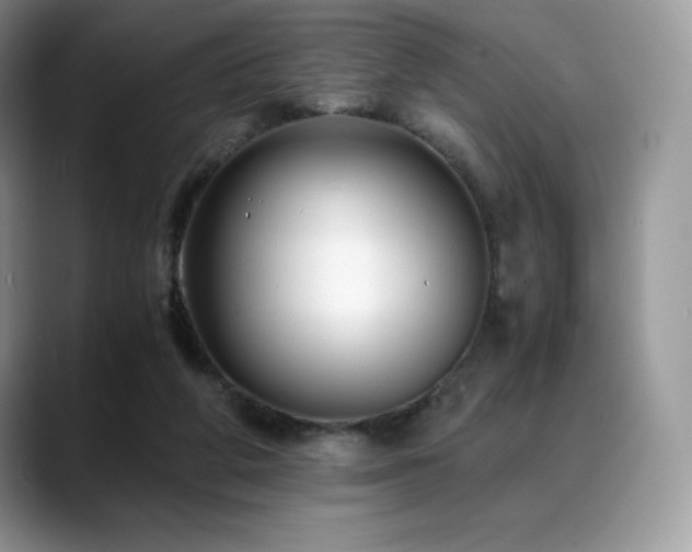 X0000088910210200706081347