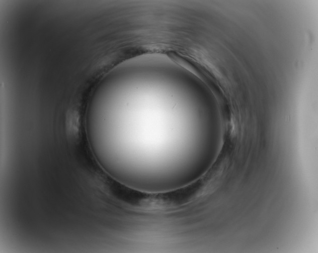 X0000088910211200706081347