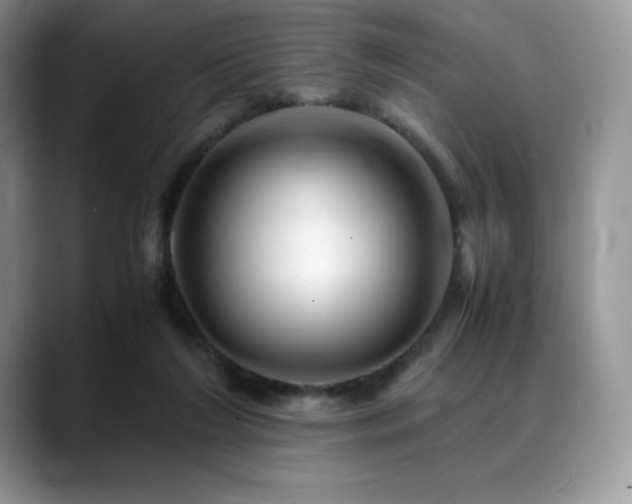 X0000088910212200706081347