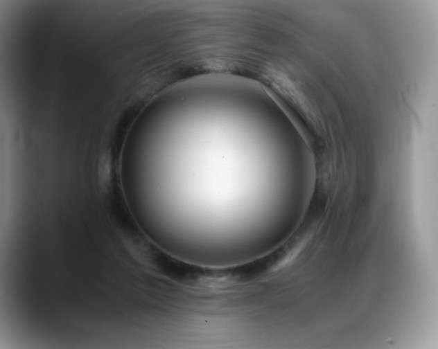 X0000088910213200706081347