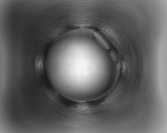 X0000088910214200706081347