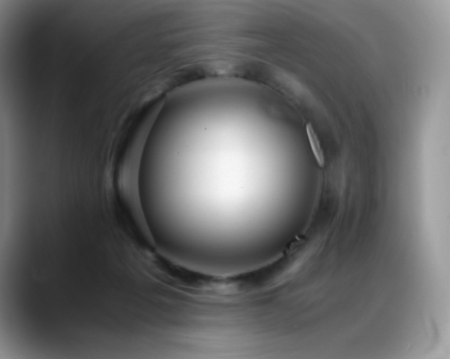 X0000088910217200706081347