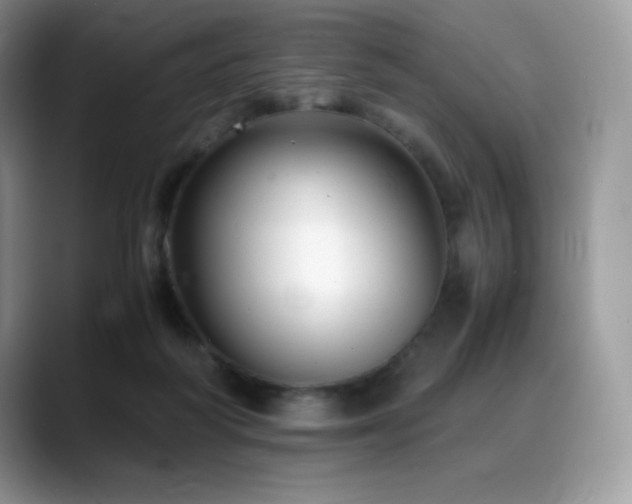 X0000088910218200706081347
