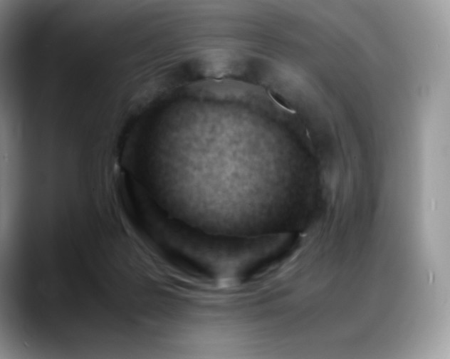 X0000088910219200706081347
