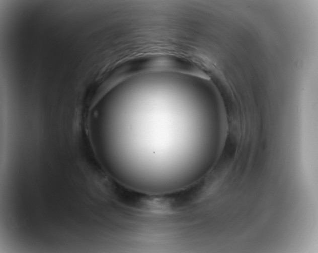 X0000088910221200706081347