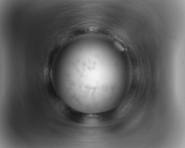 X0000088910222200706081347