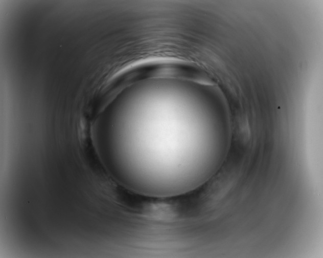 X0000088910224200706081347