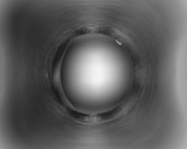 X0000088910225200706081347