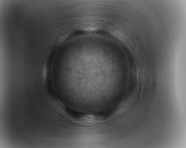 X0000088910227200706081347
