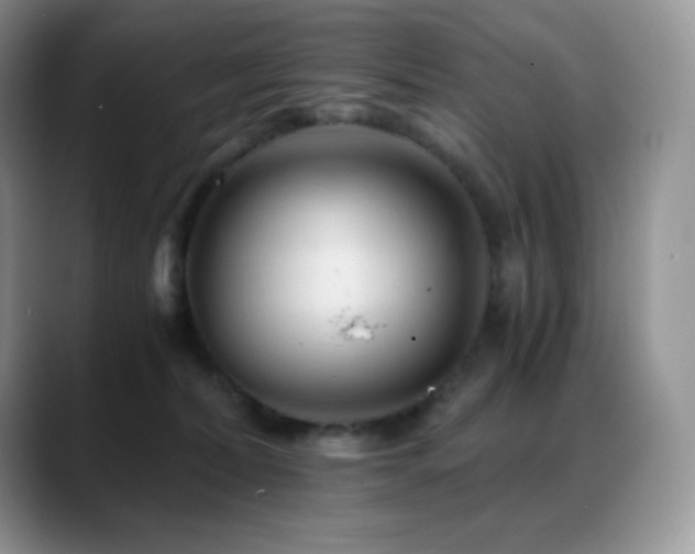X0000088910228200706081347