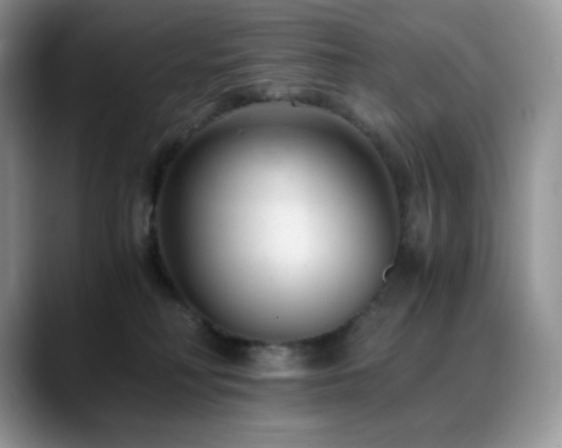 X0000088910230200706081347
