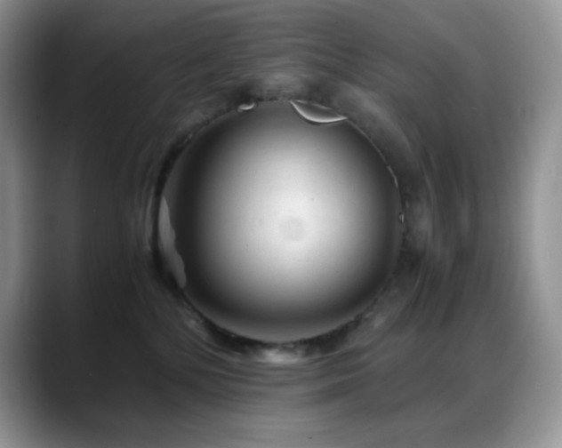 X0000088910232200706081347