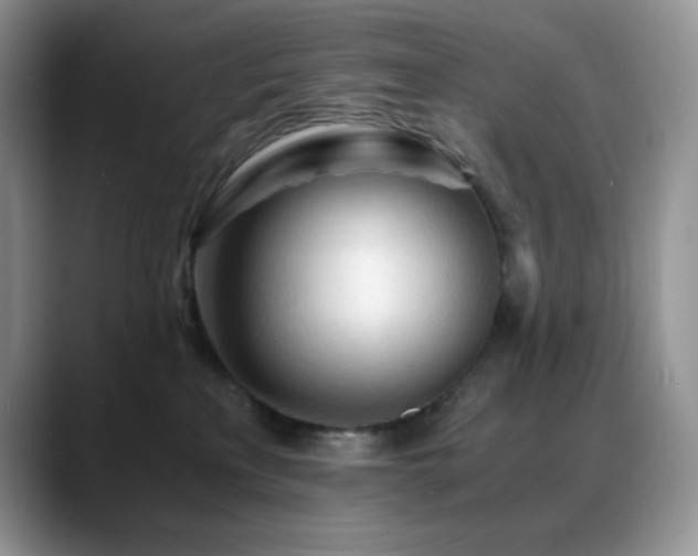 X0000088910233200706081347