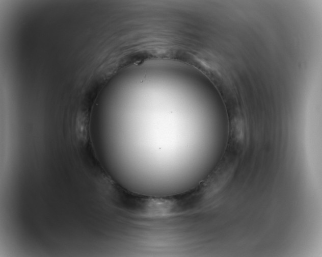 X0000088910234200706081347