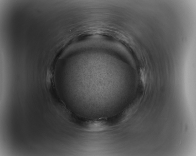 X0000088910235200706081347