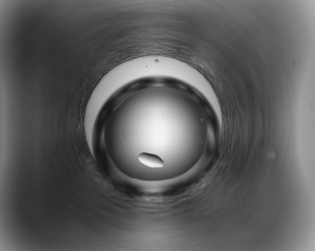 X0000088910237200706081347
