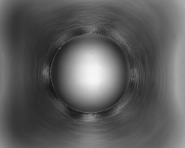 X0000088910238200706081347