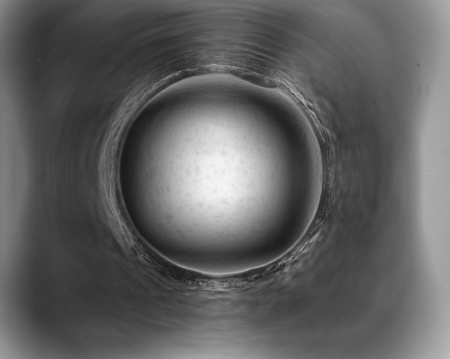 X0000088910241200706081346
