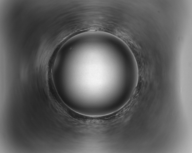 X0000088910242200706081346
