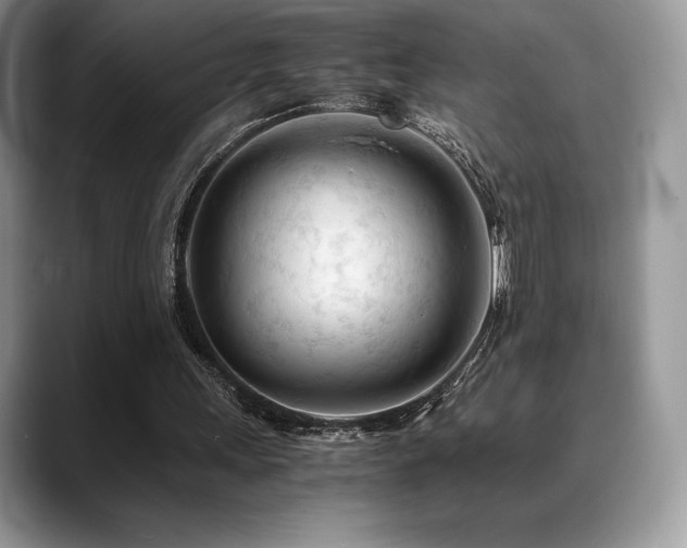 X0000088910243200706081346