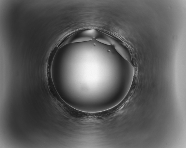 X0000088910244200706081346