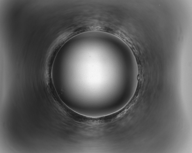 X0000088910245200706081346