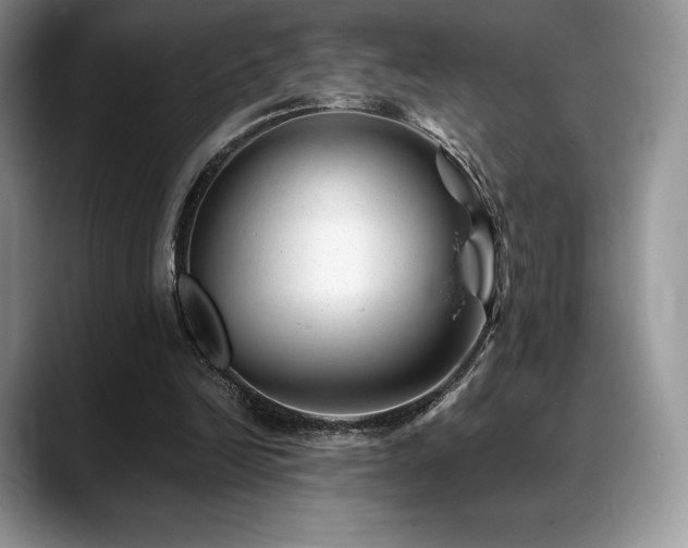X0000088910246200706081346