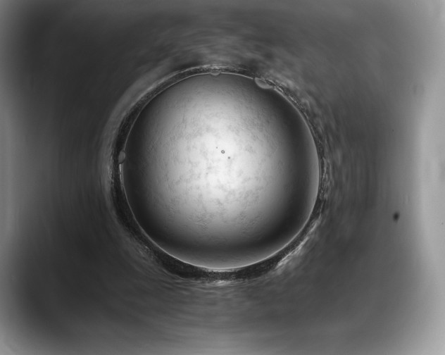 X0000088910247200706081346