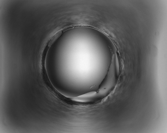 X0000088910248200706081346