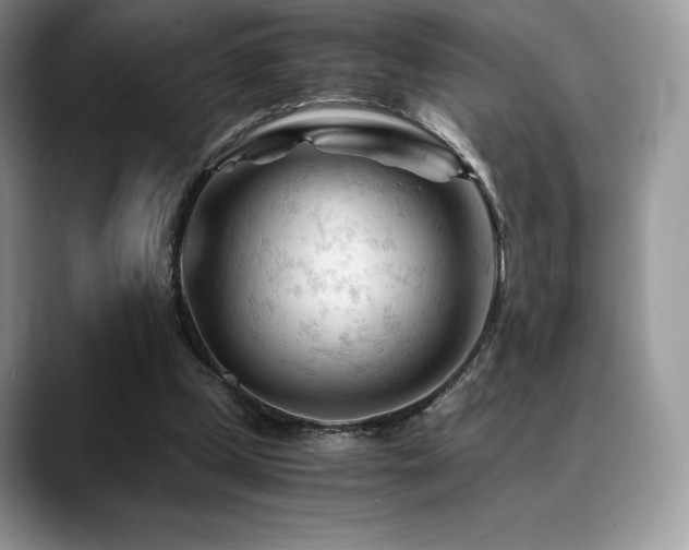 X0000088910249200706081346