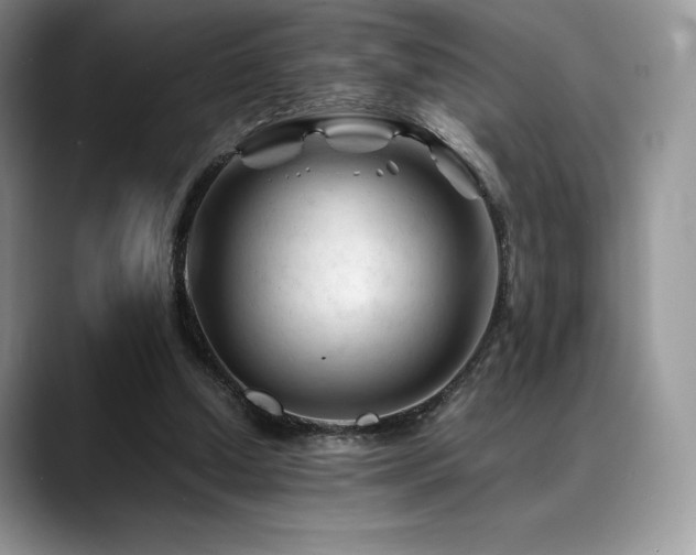 X0000088910250200706081346