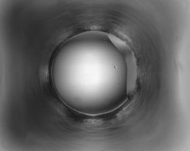 X0000088910251200706081346