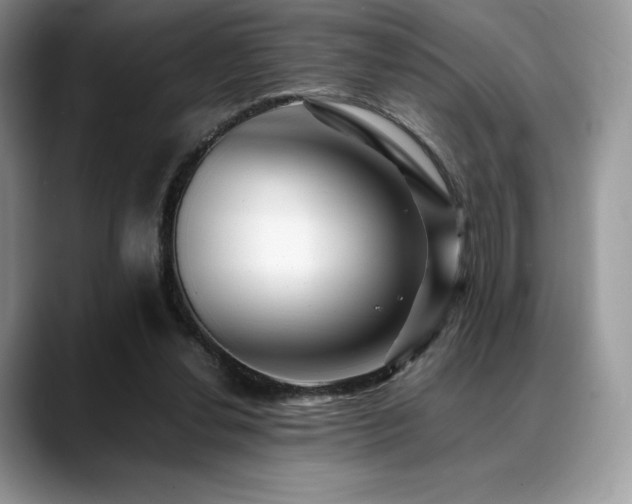X0000088910252200706081346
