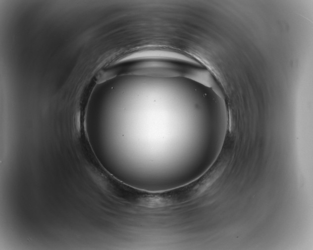 X0000088910253200706081346