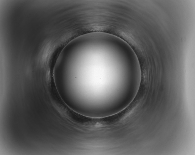 X0000088910254200706081346