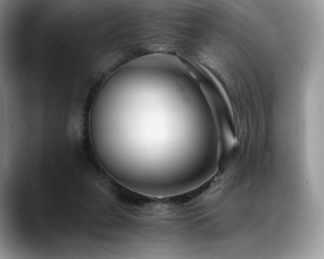 X0000088910255200706081346