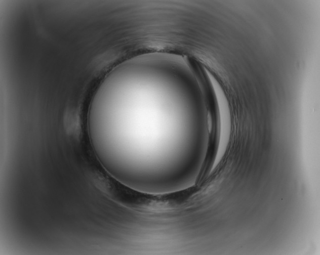 X0000088910256200706081346