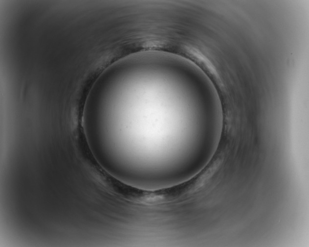 X0000088910257200706081346