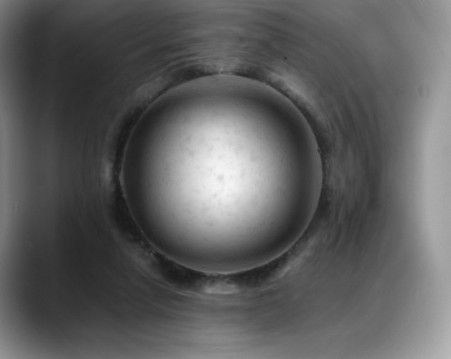 X0000088910258200706081346