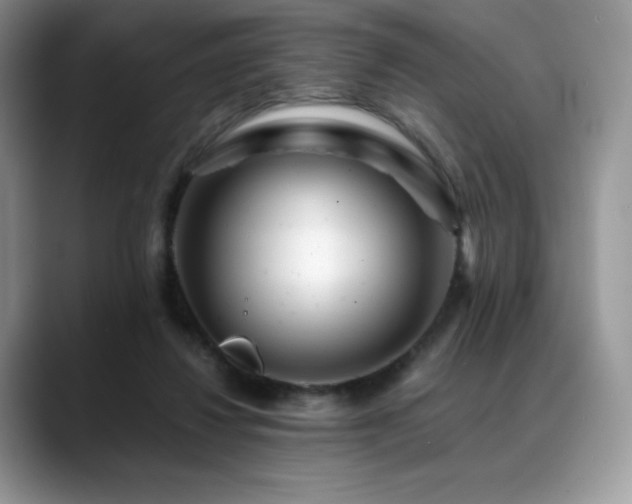 X0000088910260200706081346