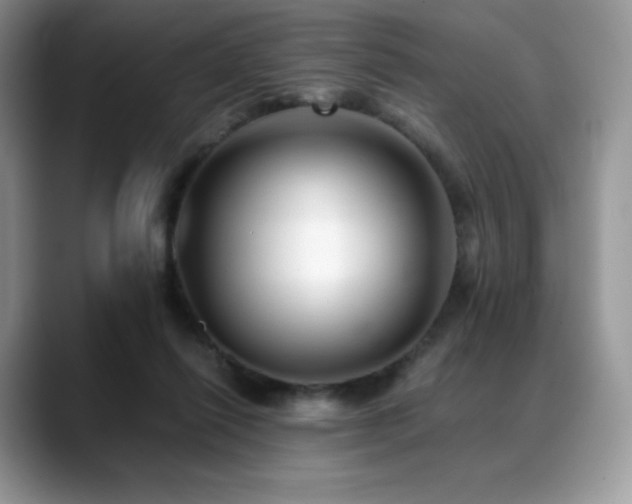 X0000088910262200706081346